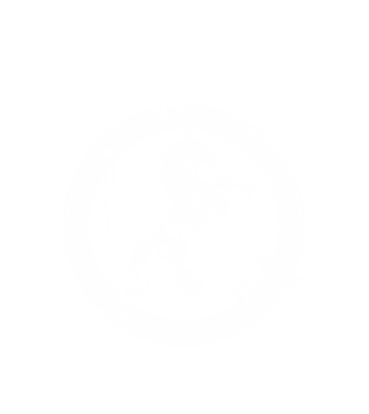 horse badge model alb pe tricou