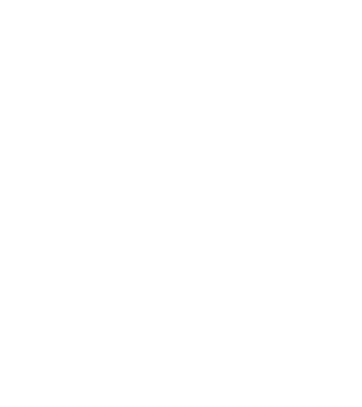 Așa arată un stăpân de Bolognese foarte chipeș model negru pe tricou