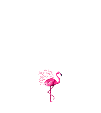 Flamingo pink model negru pe tricou
