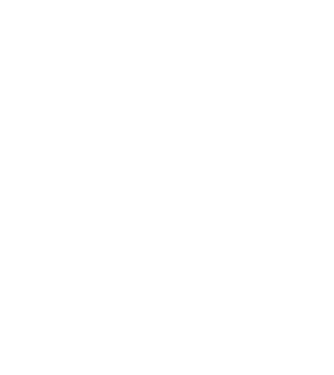 Camion 2. model gri pe tricou