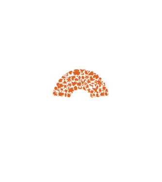 Pokeball model negru pe tricou