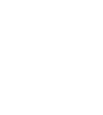 Crazy Cat Ladies are born in January model negru pe tricou