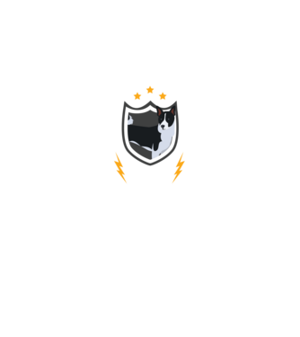 serviciu de securitate - securitate - persistență - 24 de ore pe zi model negru pe tricou