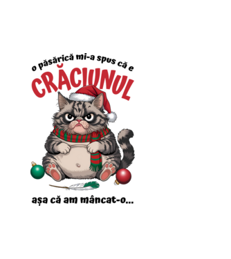 Am mâncat pasărea Crăciun pisică Alb model alb pe tricou