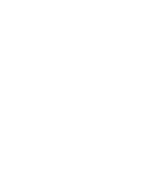 LOVE Havanese model negru pe tricou