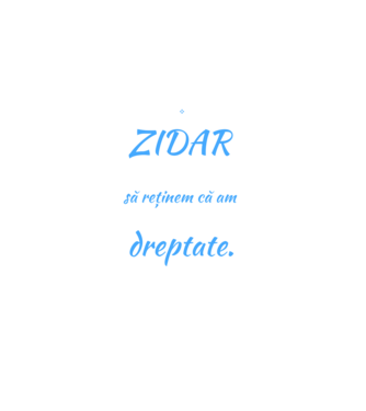 Sunt ZIDAR, pentru a economisi timp, să reținem că am întotdeauna dreptate model negru pe tricou