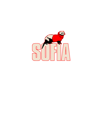 sofia la casa de papel model negru pe tricou