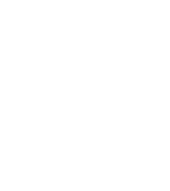 All men are created equal but only the best are born in november model negru pe tricou
