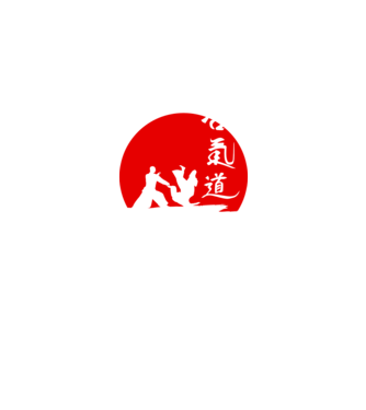 Aikido model negru pe tricou