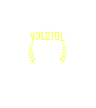 Singurul lucru mai bun decât voleiul este să fiu tată model negru pe tricou