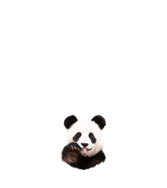 Panda face model albastru deschis pe tricou