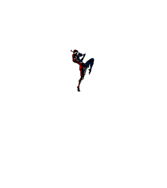 Muay Thai model turcoaz pe tricou