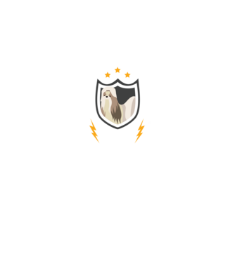 serviciu de securitate - securitate - persistență - 24 de ore pe zi model negru pe tricou