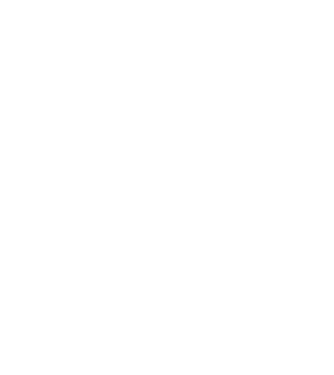 România made in model negru pe tricou