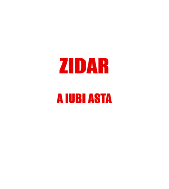 Sunt suficient de priceput pentru a fi ZIDAR și suficient de nebun pentru a iubi asta model negru pe tricou