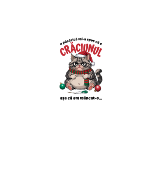 Am mâncat pasărea Crăciun pisică Alb model alb pe tricou