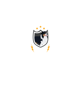 serviciu de securitate - securitate - persistență - 24 de ore pe zi model negru pe tricou
