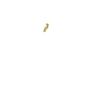 King in the north 2c model negru pe tricou