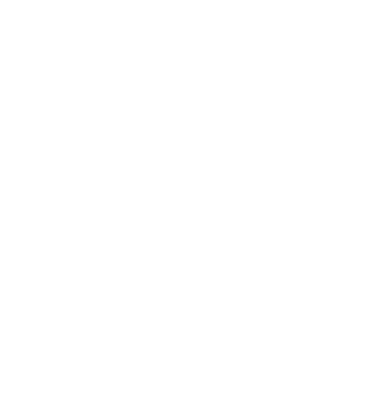 Crazy Cat Ladies are born in June model negru pe tricou
