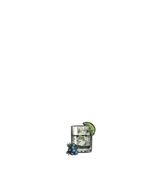 Let the fun be gin model negru pe tricou