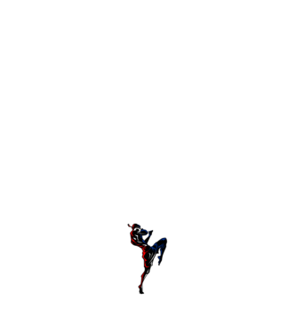 Muay Thai model alb pe tricou