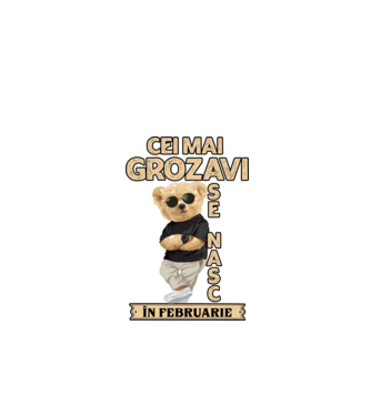 Teddy cel cool februarie model negru pe tricou