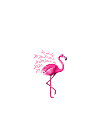 Flamingo pink model negru pe tricou