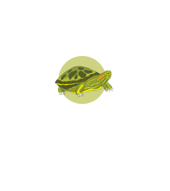 Turtle model negru pe tricou