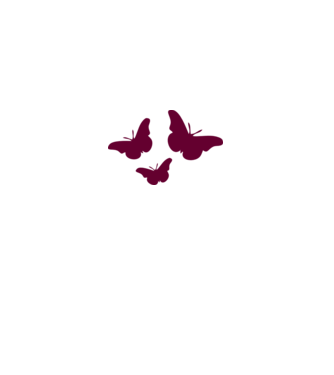 Butterflies model alb pe tricou