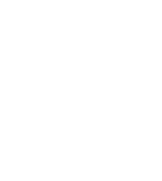 Box evoluție model turcoaz pe tricou