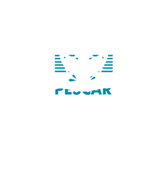 Pescar original model negru pe tricou
