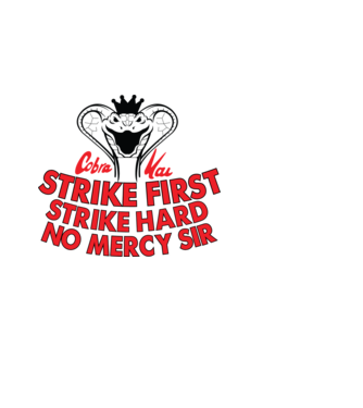 Strike first strike hard logo model alb pe tricou