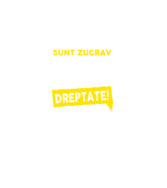 Sunt zugrav, pentru a economisi timp, să reținem că am întotdeauna dreptate! model negru pe tricou