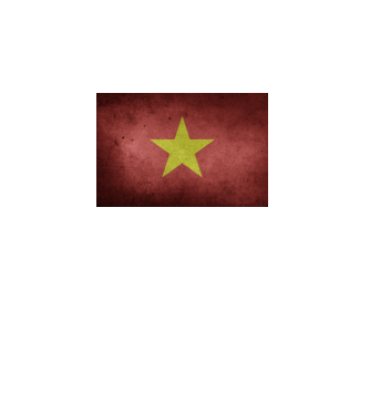 VIETNAM model turcoaz pe tricou