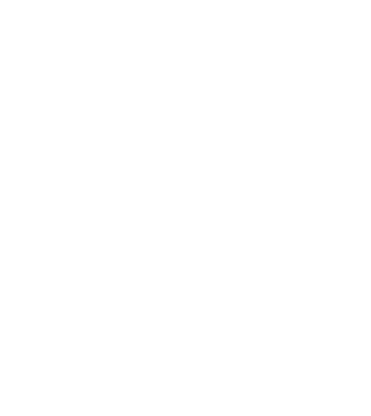 Zidarul model negru pe tricou