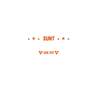 Sunt apicultor, care este superputerea ta? model negru pe tricou