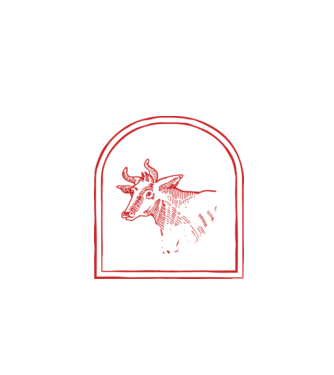 Festival BBQ - cu tata în grădina din spate! model negru pe tricou
