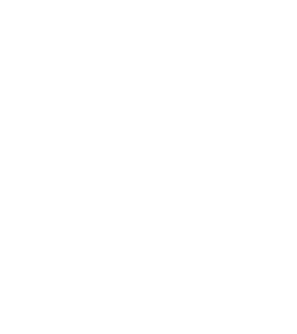 Crazy Cat Ladies are born in January model negru pe tricou