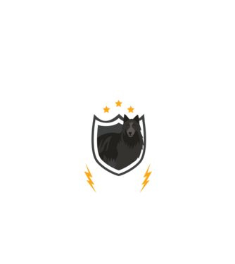 serviciu de securitate - securitate - persistență - 24 de ore pe zi model nisipiu pe tricou