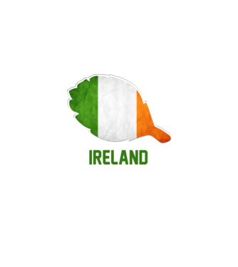 Steag irlandez model alb pe tricou