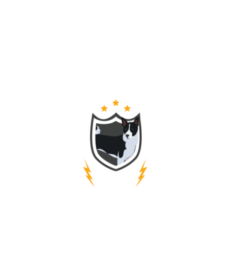 serviciu de securitate - securitate - persistență - 24 de ore pe zi model negru pe tricou