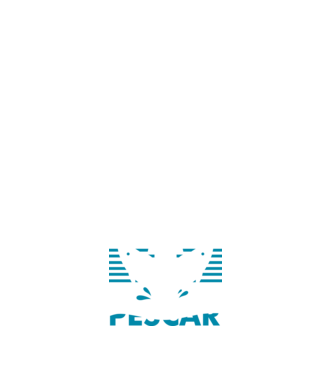 Pescar original model alb pe tricou