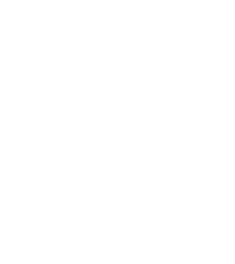Camion 2. model gri pe tricou