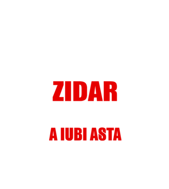 Sunt suficient de priceput pentru a fi ZIDAR și suficient de nebun pentru a iubi asta model negru pe tricou