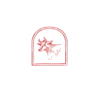 Festival BBQ - cu tata în grădina din spate! model negru pe tricou