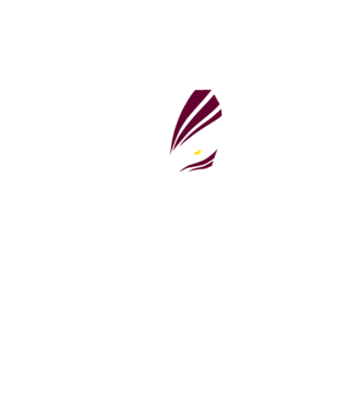 Ichigo Hollow Mask model negru pe tricou