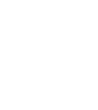 Programmer model gri pe tricou