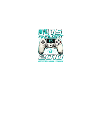Nivel finalizat 15 2010 model negru pe tricou