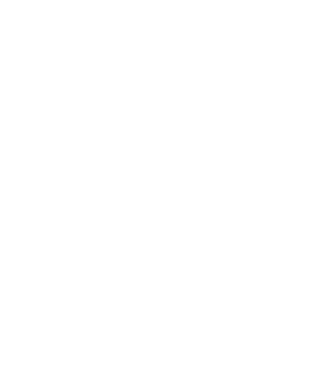 Bug fixed model alb pe tricou