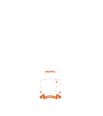 drumul spre inima mea e pavat cu urme de copite model alb pe tricou